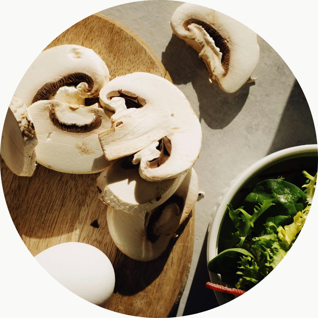 Untitled design (15)