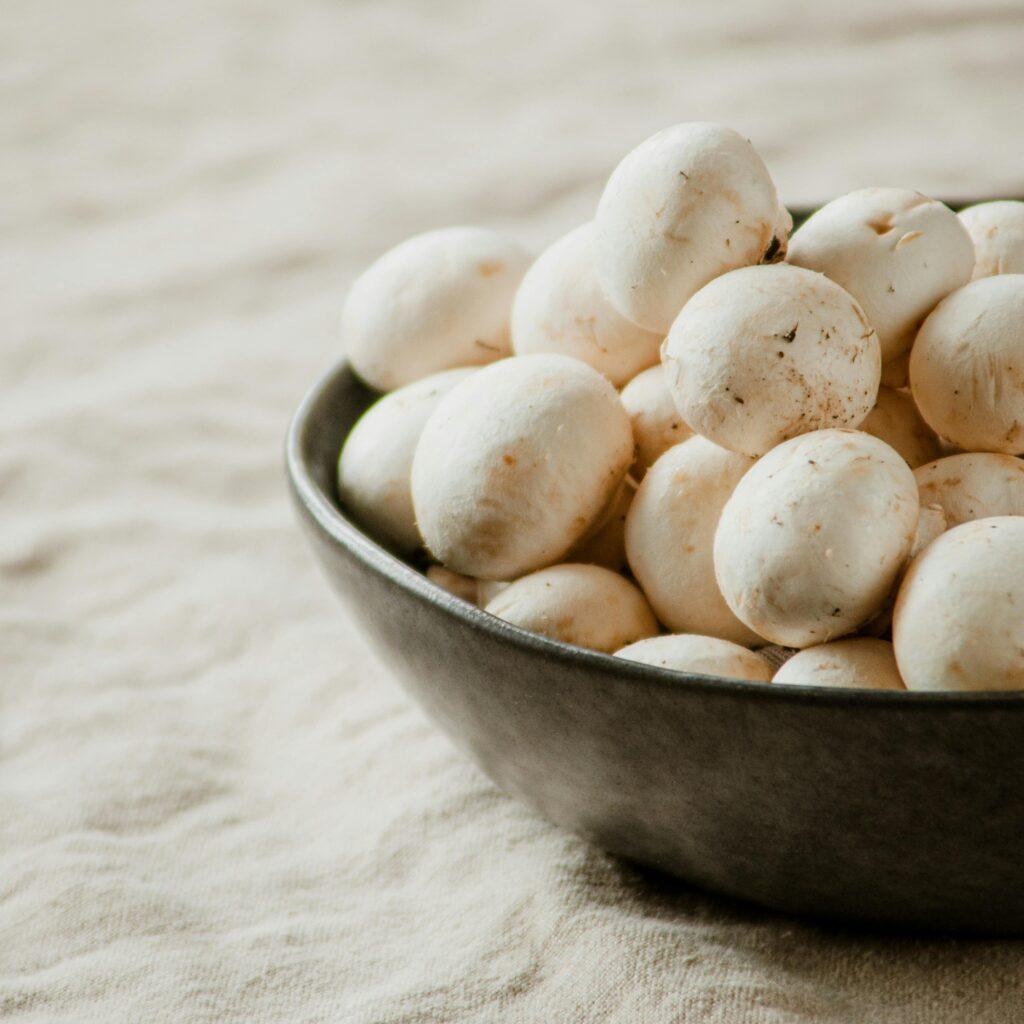 White Button Mushroom Kits: Grow Your Own Nutritious Superfood